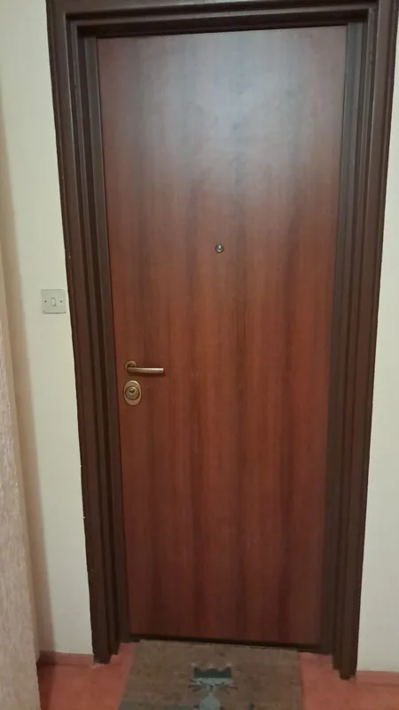 Porte d'entrée en bois avec poignée et cylindre de sécurité